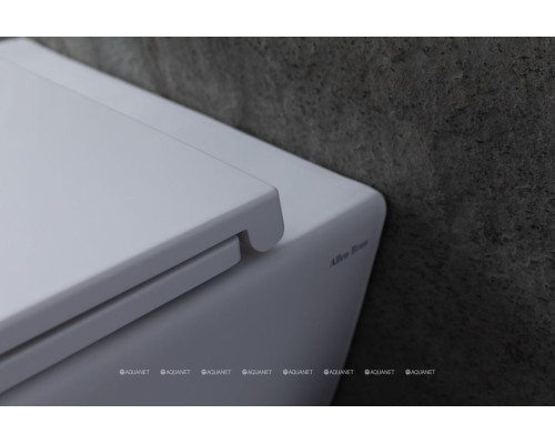 Унитаз подвесной Allen Brau Reality 4.32006.20 белый