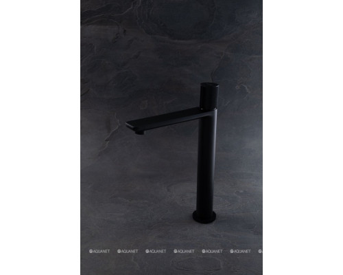 Смеситель для раковины Allen Brau Liberty 5.33002-31 черный матовый