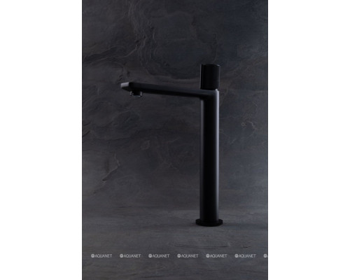 Смеситель для раковины Allen Brau Liberty 5.33002-31 черный матовый