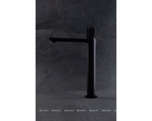 Смеситель для раковины Allen Brau Liberty 5.33002-31 черный матовый