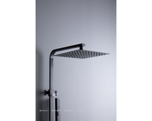 Душевая стойка Allen Brau Infinity 5.21029-31 черный матовый