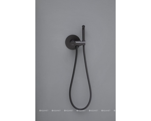 Смеситель с гигиеническим душем Allen Brau Thermo Rund 5.60001-31 (с внутренней частью)