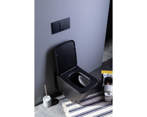 Унитаз подвесной Aquanet Rimless Tavr-W BL-103N-WHT black черный матовый