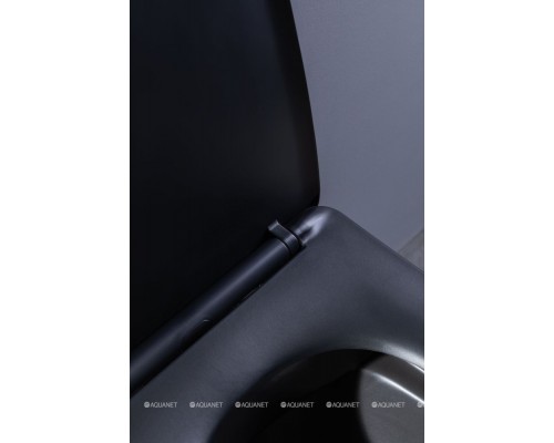 Унитаз подвесной Aquanet Rimless Tavr-W BL-103N-WHT black черный матовый