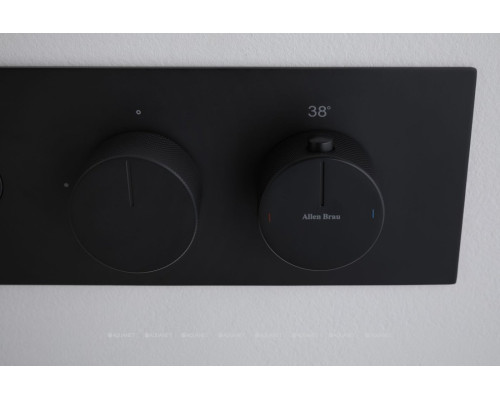 Смеситель для душа Allen Brau Liberty 5.33003-31 (с внутренней частью, 3 выхода) черный матовый