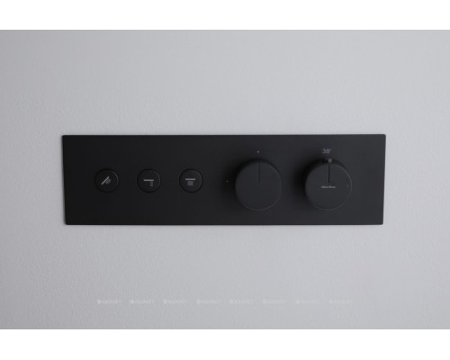 Смеситель для душа Allen Brau Liberty 5.33003-31 (с внутренней частью, 3 выхода) черный матовый