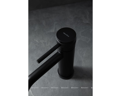 Смеситель для раковины Allen Brau Priority 5.31A01-31 черный матовый