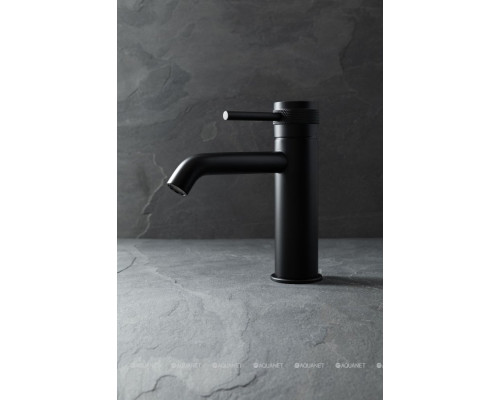 Смеситель для раковины Allen Brau Priority 5.31A01-31 черный матовый