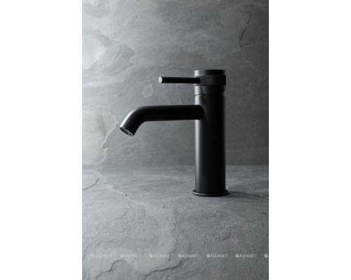 Смеситель для раковины Allen Brau Priority 5.31A01-31 черный матовый