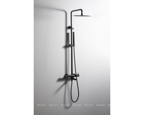 Душевая стойка Allen Brau Priority 5.31A10-31 черный матовый