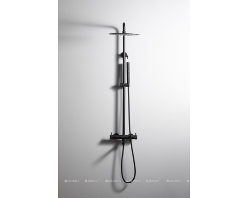 Душевая стойка Allen Brau Priority 5.31A10-31 черный матовый