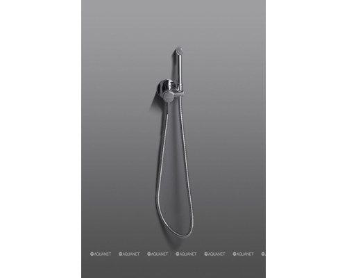 Смеситель с гигиеническим душем Allen Brau Priority 5.31A29-00 (с внутренней частью) хром