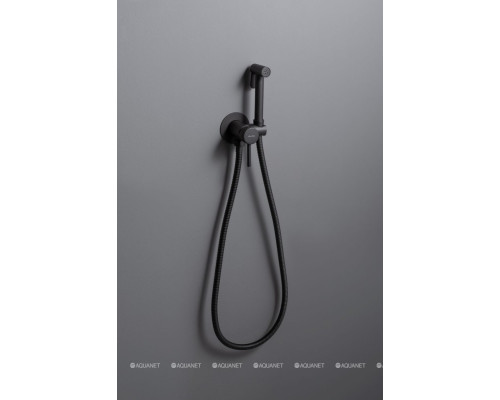 Смеситель с гигиеническим душем Allen Brau Priority 5.31A29-31 (с внутренней частью) черный матовый