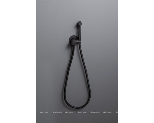 Смеситель с гигиеническим душем Allen Brau Priority 5.31A29-31 (с внутренней частью) черный матовый