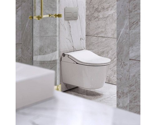 TOTO RP Унитаз подвесной 38x58x33.5см, цвет: белый. CW542EY TOTO RP Унитаз подвесной 38x58x33.5см, цвет: белый. CW542EY