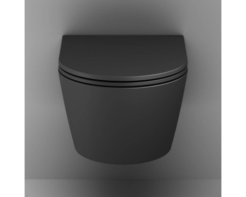 C8F1701MBSC Унитаз подвесной FlashClean с сиденьем микролифт, матовый C8F1701MBSC Унитаз подвесной FlashClean с сиденьем микролифт, матовый