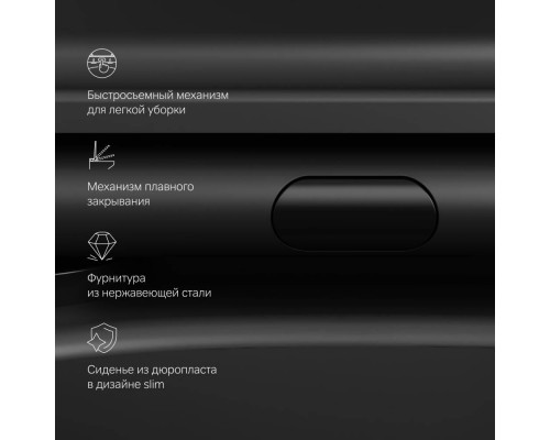 C8F1701MBSC Унитаз подвесной FlashClean с сиденьем микролифт, матовый C8F1701MBSC Унитаз подвесной FlashClean с сиденьем микролифт, матовый