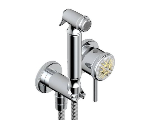 THG Hirondelles Gold Stamped Гигиенический душ со встраиваемым смесителем, настенный, цвет: хром. G00-A00-5840/MA,  A4L-A02-5840/MBG