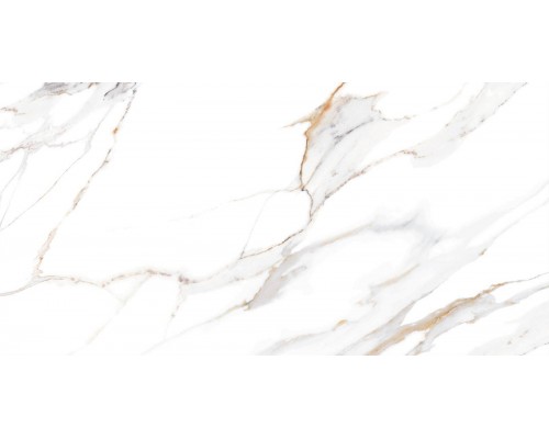 Плитка настенная Alma Ceramica Dakota TWU09DKT004 глянцевая 24,9x50 белая