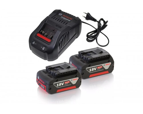 Набор Bosch аккумулятор + ЗУ (B8J)