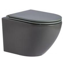 AQM2002MGR Унитаз подвесной с сиденьем SoftClose, технология смыва Rimless, скрыт.крепеж. Цвет серый AQM2002MGR