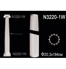 Тело колонны N3220-1W