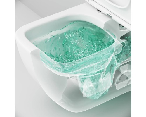 C901701SC Унитаз подвесной FlashClean с сиденьем микролифт C901701SC Унитаз подвесной FlashClean с сиденьем микролифт