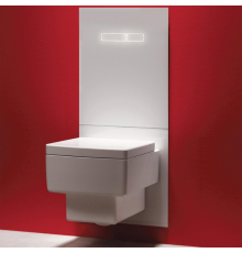 TECElux Комплект для установки унитаза-биде DURAVIT, с верхней панелью 430times;555times;16 мм, с сенсорным блоком управления sen-Touch стекло цвет: белый. 9650002,  9650103
