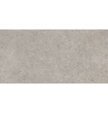Керамогранит Kerama Marazzi Риккарди SG519920R 60x119,5 серый светлый матовый