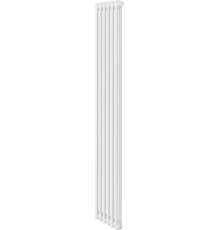 Радиатор стальной Royal Thermo Insignia VC2180 6 секций, матовый белый