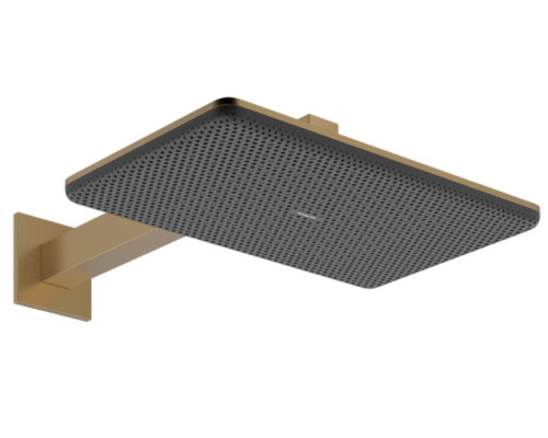 HG 24 550 140 Raindance Alive S Верхний душ 214х343 мм, 2 реж., с бок. кроншт. 390 мм (внеш. монт.ч) 24550140