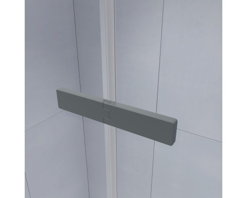 Душевой уголок с распашной дверью на петлях - RGW SV-040Gr 1200x800