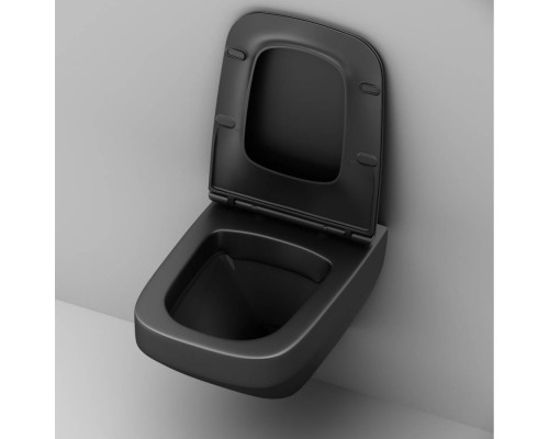 C50A1700MBSC Унитаз подвесной FlashClean с сиденьем микролифт