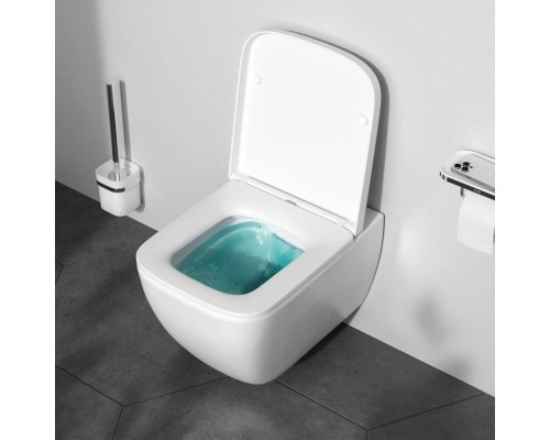 C901701SC Унитаз подвесной FlashClean с сиденьем микролифт C901701SC Унитаз подвесной FlashClean с сиденьем микролифт