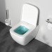 C901701SC Унитаз подвесной FlashClean с сиденьем микролифт
