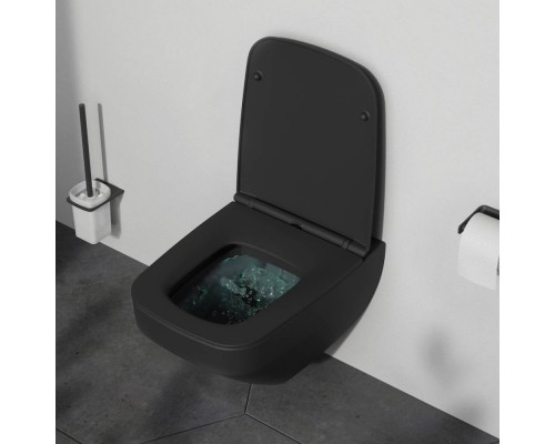 C50A1700MBSC Унитаз подвесной FlashClean с сиденьем микролифт