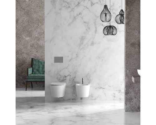 Alice Form Биде подвесное 50х35см., цвет: белый глянцевый. 22310101