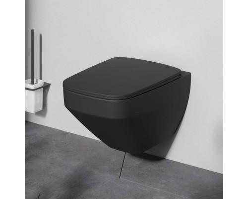 C50A1700MBSC Унитаз подвесной FlashClean с сиденьем микролифт