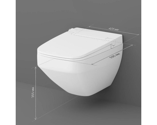 CCC50A1700SC Унитаз подвесной безободковый, с электронной крышкой-биде CCC50A1700SC Унитаз подвесной безободковый, с электронной крышкой-биде