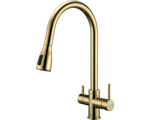 Смеситель для кухни Paulmark Lange 214212-G, золото