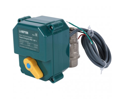 Кран с электроприводом Neptun Bugatti Pro 12В 1/2 (100035626700)