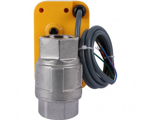 Кран с электроприводом Neptun PROFI 220В 1 (100035665500)