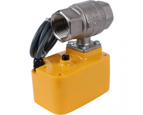 Кран с электроприводом Neptun PROFI 220В 1 (100035665500)