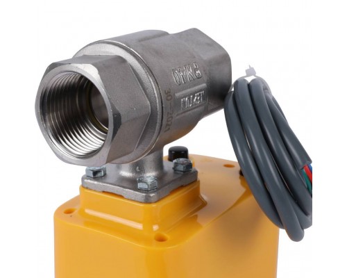 Кран с электроприводом Neptun PROFI 220В 1 (100035665500)