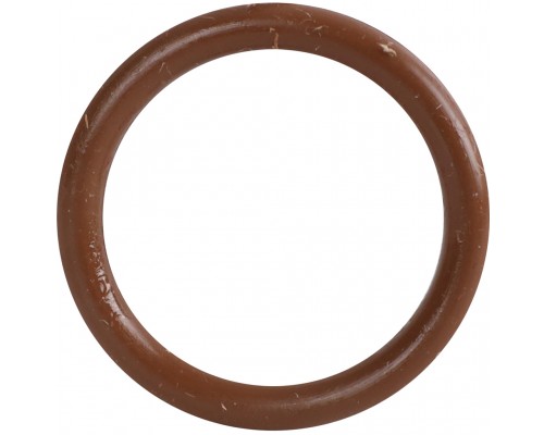 Уплотнительное кольцо ROMMER из FPM, 22 RSS-0028-000022 (RSS-0028-000022)