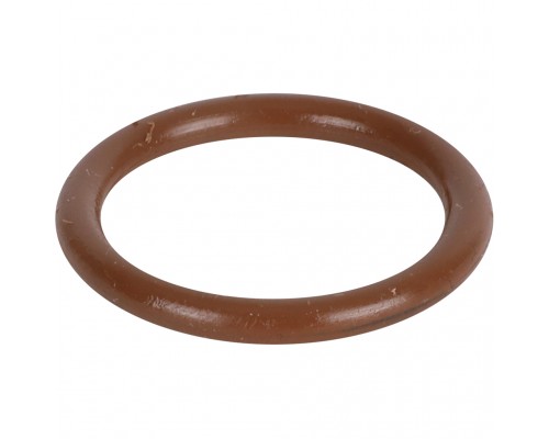 Уплотнительное кольцо ROMMER из FPM, 22 RSS-0028-000022 (RSS-0028-000022)
