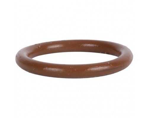 Уплотнительное кольцо ROMMER из FPM, 22 RSS-0028-000022 (RSS-0028-000022)