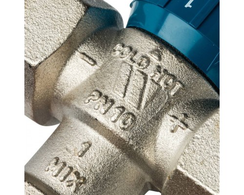 Watts Термостатический смеситель 1'' BH AQUAMIX (25-50*C) (10017421) Watts Термостатический смеситель 1'' BH AQUAMIX (25-50*C) (10017421)