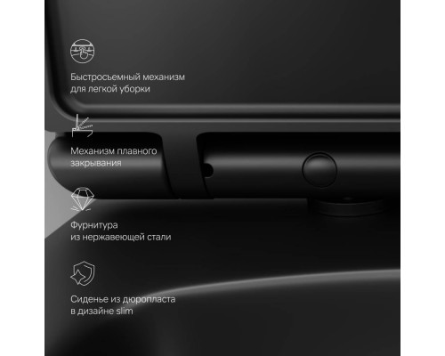 C50A1700MBSC Унитаз подвесной FlashClean с сиденьем микролифт