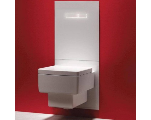 TECElux Комплект для установки унитаза-биде DURAVIT, с верхней панелью 430times;555times;16 мм, с механическим блоком управления стекло, цвет: белый/хром. 9650103,  9650001